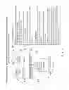 Fig. 07 - METHODS FOR DETERMINING THE EFFECTS OF COMPOUNDS ON JAK/STAT ACTIVITY