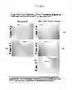 Fig. 02 - PROGNOSTIC TESTS FOR DEVELOPMENT OF DERMAL STRETCH MARKS AND IMPLICATIONS FOR THE PREVENTATIVE TREATMENT THEREOF