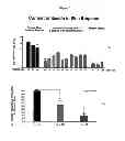 Fig. 09 - PROGNOSTIC TESTS FOR DEVELOPMENT OF DERMAL STRETCH MARKS AND IMPLICATIONS FOR THE PREVENTATIVE TREATMENT THEREOF