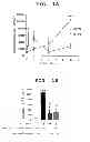 Fig. 02 - METHOD OF MEASURING THE DEGREE OF NON-INFLAMMATORY STRESS RESPONSE