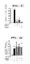 Fig. 06 - METHOD OF MEASURING THE DEGREE OF NON-INFLAMMATORY STRESS RESPONSE