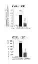 Fig. 07 - METHOD OF MEASURING THE DEGREE OF NON-INFLAMMATORY STRESS RESPONSE