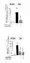 Fig. 08 - METHOD OF MEASURING THE DEGREE OF NON-INFLAMMATORY STRESS RESPONSE