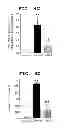Fig. 12 - METHOD OF MEASURING THE DEGREE OF NON-INFLAMMATORY STRESS RESPONSE