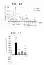 Fig. 14 - METHOD OF MEASURING THE DEGREE OF NON-INFLAMMATORY STRESS RESPONSE