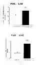 Fig. 23 - METHOD OF MEASURING THE DEGREE OF NON-INFLAMMATORY STRESS RESPONSE
