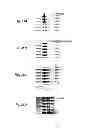 Fig. 37 - Microfabricated structure having parallel and orthogonal flow channels controlled by row and column multiplexors