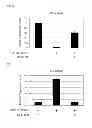 Fig. 07 - SCREENING METHOD FOR SUBSTANCE ACTING ON MAINTENANCE OF EPITHELIAL PROPERTIES OF CELL