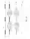 Fig. 14 - CARDIOMYOCYTES-CONTAINING DEVICE AND METHOD FOR MANUFACTURING AND USING THE SAME