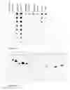 Fig. 05 - Membrane protein expression vector comprising major envelope protein P9 of systovirus PHI12 as a fusion partner and method for producing membrane protein using the same