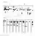 Fig. 07 - Membrane protein expression vector comprising major envelope protein P9 of systovirus PHI12 as a fusion partner and method for producing membrane protein using the same