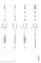 Fig. 04 - Production of volatile dienes by enzymatic dehydration of light alkenols