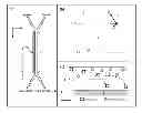 Fig. 01 - METHODS AND COMPOSITIONS FOR MAGNETOPHORETIC SEPARATION OF BIOLOGICAL MATERIALS