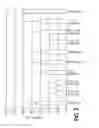 Fig. 03 - Immunomodulatory Properties of Lactobacillus Strains