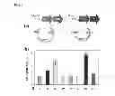 Fig. 03 - CELLS AND METHODS FOR PRODUCING ISOBUTYRIC ACID