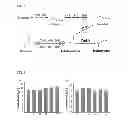 Fig. 06 - CELLS AND METHODS FOR PRODUCING ISOBUTYRIC ACID