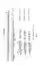Fig. 02 - Bacterial expression plasmid