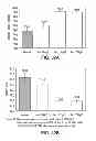Fig. 46 - Methods to control protein heterogeneity
