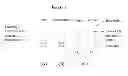 Fig. 02 - RAPID DETECTION OF UREA IN ADULTERATED MILK USING THREAD BASED MICROFLUIDIC SYSTEM