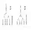 Fig. 04 - Multi-dimensional chromatographic methods for separating N-glycans
