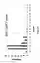 Fig. 09 - Methods and compositions for highly sensitive detection of molecules