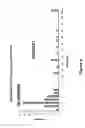 Fig. 12 - Methods and compositions for highly sensitive detection of molecules