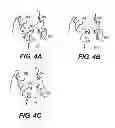 Fig. 06 - Method of prognosing and diagnosing hereditary spastic paraplegia, mutant nucleic acid molecules and polypeptides