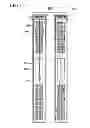 Fig. 06 - Thin film transistor array panel and manufacturing method thereof