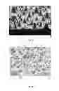 Fig. 05 - Method of fabricating uniformly distributed self-assembled solder dot formation for high efficiency solar cells