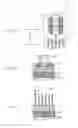 Fig. 07 - Method for forming pattern