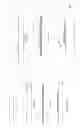 Fig. 06 - Patterned thin film dielectric stack formation