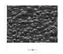 Fig. 02 - Texturing of monocrystalline semiconductor substrates to reduce incident light reflectance