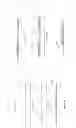 Fig. 08 - THIN FILM DIELECTRIC LAYER FORMATION