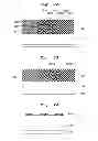 Fig. 09 - Method of pattern formation