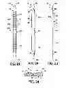 Fig. 07 - Compliant electrical contact