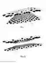 Fig. 06 - Ballistic Composite Materials, Ballistic Fabrics, and Methods of Making
