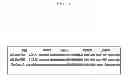 Fig. 08 - HEARTBEAT PERIOD DETERMINATION METHOD AND APPARATUS FOR PUSH SERVICE IN WIRELESS NETWORK