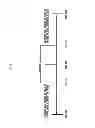 Fig. 09 - HEARTBEAT PERIOD DETERMINATION METHOD AND APPARATUS FOR PUSH SERVICE IN WIRELESS NETWORK