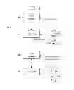 Fig. 04 - Frequency band determination method in coexistence scheme