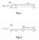 Fig. 07 - Distributed Antenna System Signal Measurement