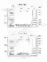 Fig. 32 - Gaming system, gaming device and method for providing an outcome enhancing feature