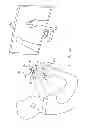 Fig. 09 - Controller Input for Interactive Gaming System