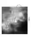 Fig. 10 - Hydroconversion multi-metallic catalyst and method for making thereof