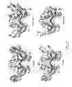 Fig. 07 - STRUCTURES OF HUMAN HISTIDYL-TRNA SYNTHETASE AND METHODS OF USE