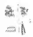 Fig. 11 - STRUCTURES OF HUMAN HISTIDYL-TRNA SYNTHETASE AND METHODS OF USE