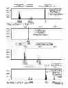 Fig. 09 - Mouse cell line authentication