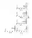 Fig. 09 - Array printing