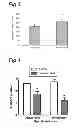 Fig. 03 - Method for treating neurotrauma