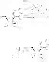 Fig. 09 - HCV POLYMERASE INHIBITORS