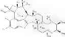 Fig. 37 - OSTEOCLAST ACTIVITY